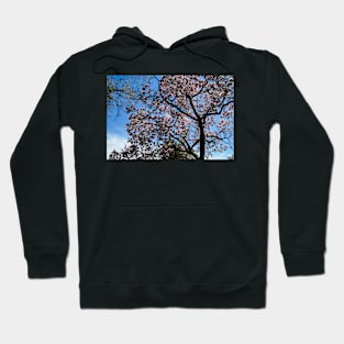 Tree in Bloom Hoodie